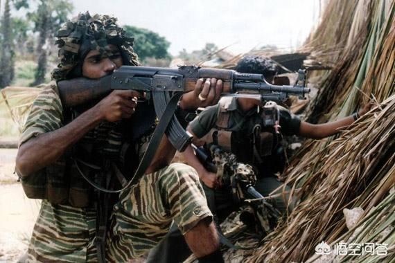 斯里兰卡战胜反政府的猛虎组织主要靠的是什么？