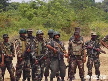 斯里兰卡战胜反政府的猛虎组织主要靠的是什么？