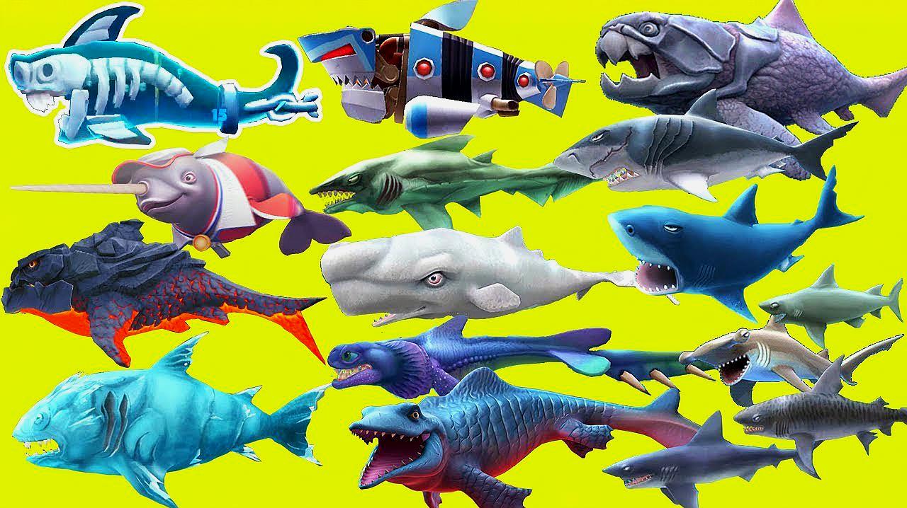 饥饿鲨进化所有鲨鱼_饥饿的鲨鱼进化版_饥饿鲨进化鲨鱼